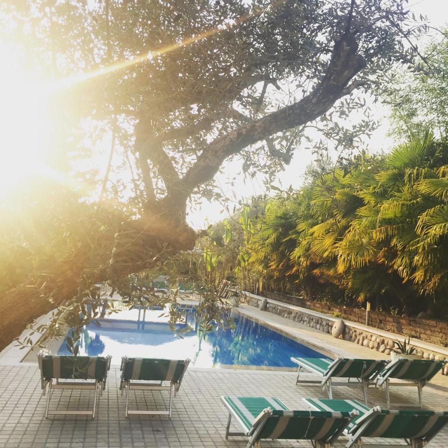Agriturismo Corte Bozzini Villa Bardolino Luaran gambar